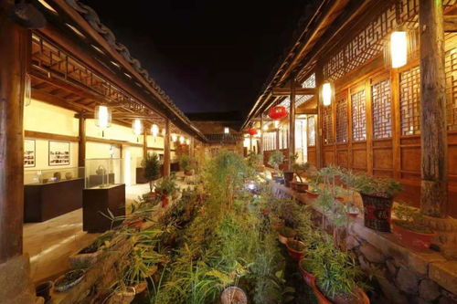 泰原堂 免费60天半价入住，体验古法养生与现代雅居的完美融合