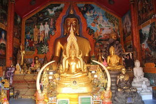 泰北行 16 举着原始佛教旗号前行的泰国佛教——续谈泰原堂